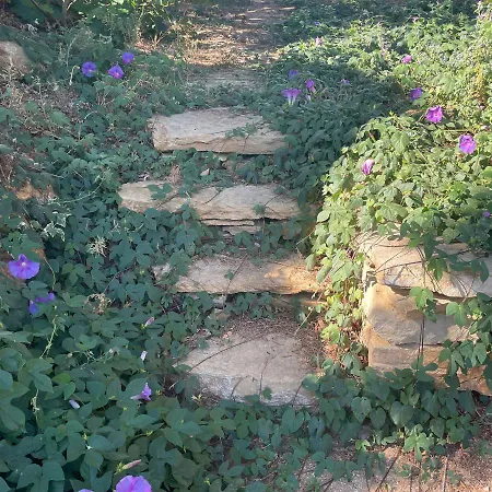 בית הארחה Le Boulou סן-סיר-סור-מר